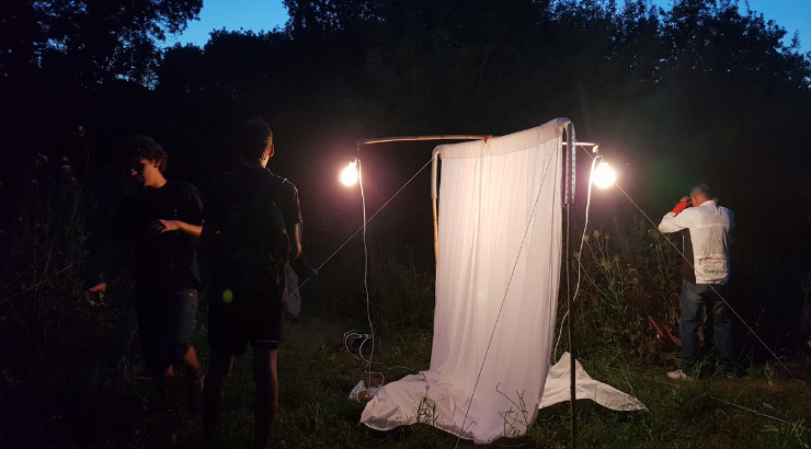 Objectif : réduction de la pollution lumineuse !